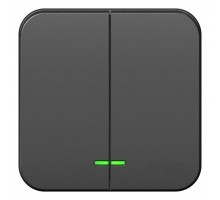 Выключатель 2-кл. ОП Blanca 10А IP20 (сх. 5) 250В с подсветкой антрацит SchE BLNVA105106