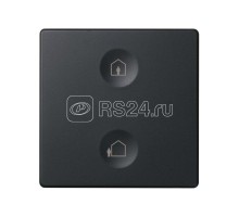 Выключатель сенсорный 2-кл. СП Simon 82 Sense IP20 с тематич. маркир. Т1 графит Simon 8000623-038