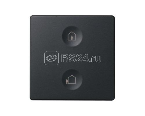 Выключатель сенсорный 2-кл. СП Simon 82 Sense IP20 с тематич. маркир. Т1 графит Simon 8000623-038