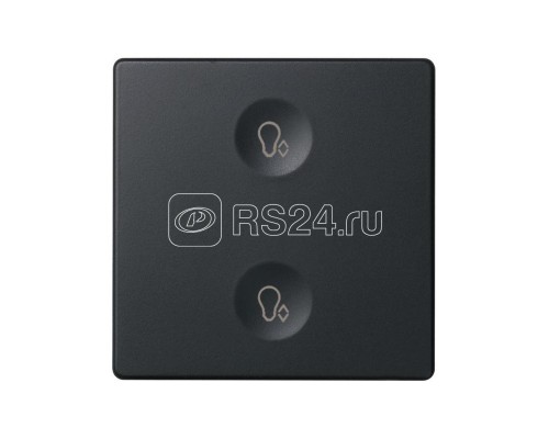 Выключатель сенсорный 2-кл. СП Simon 82 Sense IP20 с тематич. маркир. Т3 графит Simon 8000625-038