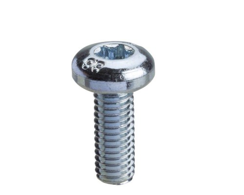 Винт M6х16 Torx T30 (уп.100шт) SchE NSYST30M6