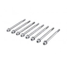 Винт SV для соединения Flat-PLS 80мм (уп.8шт) Rittal 9676808