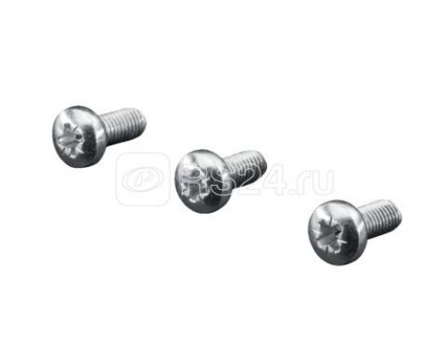 Винт с головкой сферич. М5х12 SZ (уп.500шт) Rittal 2489000