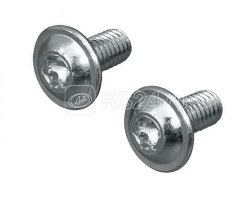 Винт со шлицем звездочка M6х12 (уп.300шт) Rittal 2504500
