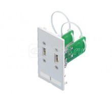 Вставка с разъемами SZ 2хUSB тип А гнездо/гнездо Rittal 2482540