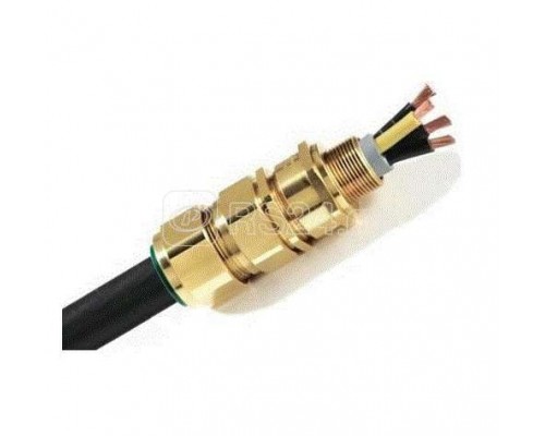 Ввод для бронированного кабеля латунь М40 40 SS2K PB ССТ 2181973
