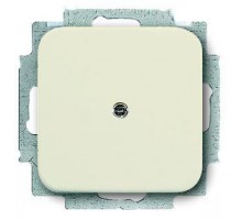 Заглушка Busch-Duro с суппортом 2000 SI сл. кость ABB 2CKA001715A0318