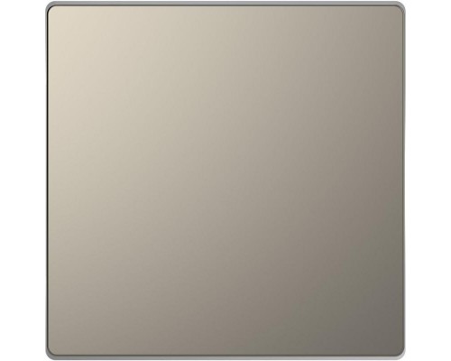 Заглушка Merten D-Life SD никель SchE MTN4075-6050
