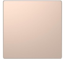 Заглушка Merten D-Life SD шампань SchE MTN4075-6051