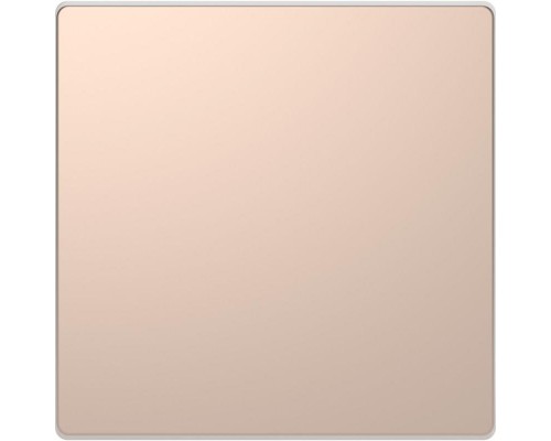 Заглушка Merten D-Life SD шампань SchE MTN4075-6051