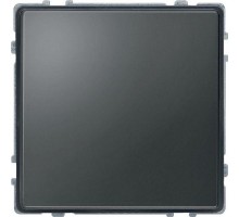 Заглушка Merten IP44 SchE MTN348314
