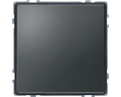 Заглушка Merten IP44 SchE MTN348314