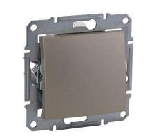 Заглушка Sedna титан SchE SDN5600168