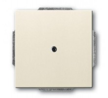 Заглушка с суппортом сл. кость ABB 2CKA001715A0313