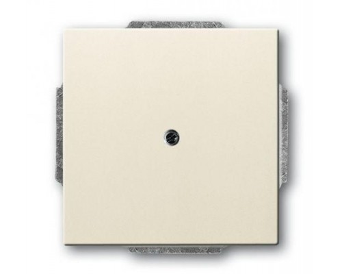 Заглушка с суппортом сл. кость ABB 2CKA001715A0313