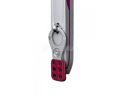 Замок многократный SZ сталь оцинк. (уп.2шт) Rittal 2493500